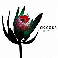 ａｃｃｅｓｓ 「Ｒｉｐｐｉｎ’　ＧＨＯＳＴ　－Ｒｅｍａｓｔｅｒｅｄ　Ｅｄｉｔｉｏｎ－」