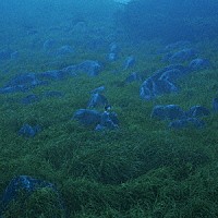 Ｓｈｅ　Ｈｅｒ　Ｈｅｒ　Ｈｅｒｓ「 Ｄｉｆｆｕｓｉｏｎ　ｏｆ　Ｒｅｓｐｏｎｓｉｂｉｌｉｔｙ」