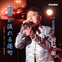 辰巳彰「 海霧が流れる港町」