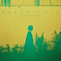 大橋トリオ 「カラタチの夢」