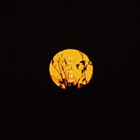 アルステイク 「ふたりの季節」