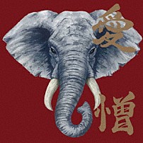 炙りなタウン 「愛憎」