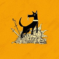 ＴＯＯＢＯＥ 「Ｓｔｕｐｉｄ　ｄｏｇ」