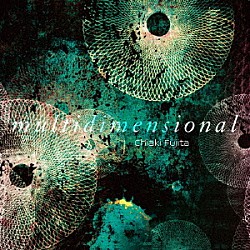 藤田千章「ｍｕｌｔｉｄｉｍｅｎｓｉｏｎａｌ」