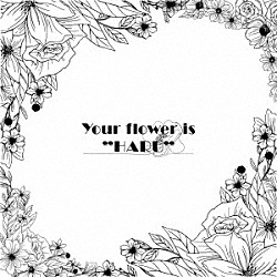 ＢＯＹ　ＭＥＥＴＳ　ＨＡＲＵ「Ｙｏｕｒ　ｆｌｏｗｅｒ　ｉｓ　“ＨＡＲＵ”」