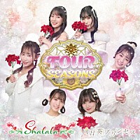 向日葵プリンセス「 ＦＯＵＲ　ＳＥＡＳＯＮＳ」