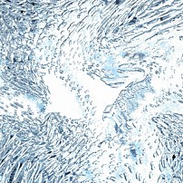 Ｔｅｍｐａｌａｙ 「（（ｉｋａ））」