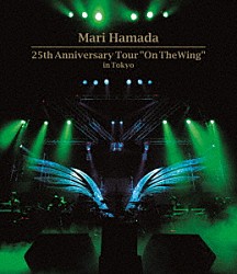 Ｍａｒｉ　Ｈａｍａｄａ「２５ｔｈ　Ａｎｎｉｖｅｒｓａｒｙ　Ｔｏｕｒ　“Ｏｎ　Ｔｈｅ　Ｗｉｎｇ”　ｉｎ　Ｔｏｋｙｏ」