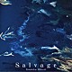 犬塚ヒカリ「Ｓａｌｖａｇｅ」