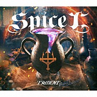 ＴＲｉＤＥＮＴ「 ｓｐｉｃｅ　“Ｘ”」