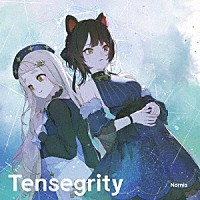Ｎｏｒｎｉｓ「 Ｔｅｎｓｅｇｒｉｔｙ」