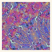 カルロス・ニーニョ・アンド・フレンズ「 プラセンタ」