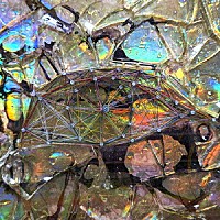 そこに鳴る「 開眼証明」