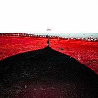 菅田将暉 「ＳＰＩＮ」