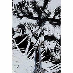 Ｐｌａｓｔｉｃ　Ｔｒｅｅ「Ｐｌａｓｔｉｃ　Ｔｒｅｅ」