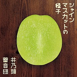 井乃頭蓄音団「シャインマスカットの種子」