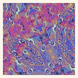 カルロス・ニーニョ・アンド・フレンズ「プラセンタ」