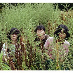 ｐｕｇｇｓ「パグスの遭遇体験」