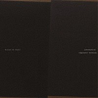 ＨＡＩＩＲＯ　ＤＥ　ＲＯＳＳＩ「 Ａｌｔｅｒｎａｔｉｖｅ　（Ｅｘｐａｎｄｅｄ　Ｅｄｉｔｉｏｎ）」