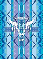 Ｒｏｃｋｏｎ　Ｓｏｃｉａｌ　Ｃｌｕｂ「 ＲＥＬＯＡＤＥＤ　ＴＯＵＲ　２０２４　ＳＵＭＭＥＲ　ＯＦ　ＬＯＶＥ」