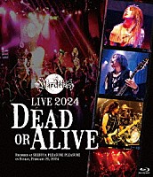 Ｍａｒｄｅｌａｓ「 Ｌｉｖｅ　２０２４　－Ｄｅａｄ　ｏｒ　Ａｌｉｖｅ－」