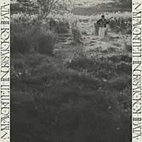 柴田聡子 「Ｍｙ　Ｆａｖｏｒｉｔｅ　Ｔｈｉｎｇｓ」