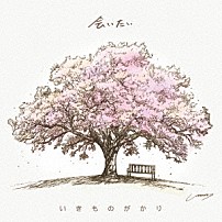 いきものがかり 「会いたい」