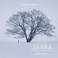 八神純子 「ＴＥＲＲＡ　－　ｈｅｒｅ　ｗｅ　ｗｉｌｌ　ｓｔａｙ　Ｐｒｅｍｉｕｍ」
