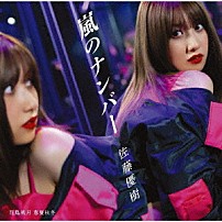 佐藤優樹 「嵐のナンバー／花鳥風月　春夏秋冬」