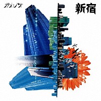 カメレオ「 新宿」