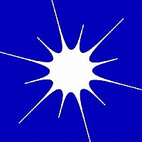 ＬＡ　ＳＥＮＡＳ「 熱狂は全てを超えて」