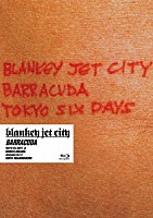 ＢＬＡＮＫＥＹ　ＪＥＴ　ＣＩＴＹ「 ＢＡＲＲＡＣＵＤＡ」