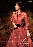 薬師丸ひろ子「 Ｔｒｅｅ　～Ｌｉｖｅ　ａｔ　ＥＸ　ＴＨＥＡＴＥＲ　ＲＯＰＰＯＮＧＩ～」