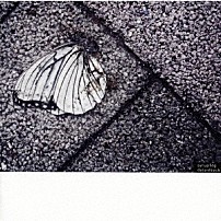 ｓｙｒｕｐ１６ｇ 「ｄｅｌａｉｄｂａｃｋ」