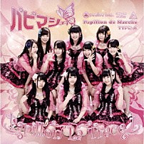 パピマシェ 「Ｐａｐｉｌｌｏｎ　Ｌａ　Ｔｒａｃｅ１」