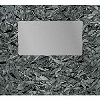 ＴＨＥ　ＮＯＶＥＭＢＥＲＳ 「Ｆｏｕｒｔｈ　ｗａｌｌ」