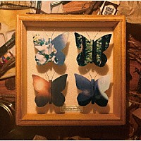 ミニマムジーク「 標本」