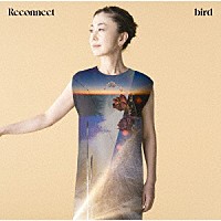 ｂｉｒｄ「 Ｒｅｃｏｎｎｅｃｔ」