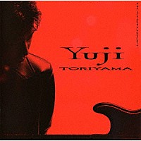 鳥山雄司「 トランスフュージョン」