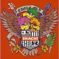ＳＨＡＣＨＩ「 ＥＡＧＬＥ　ＦＬＹ」