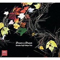 藤井郷子東京トリオ「 ドリーム・ア・ドリーム」