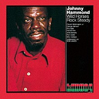 ジョニー・ハモンド「 ワイルド・ホーセズ・ロック・ステディ」
