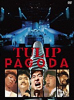 チューリップ「 ＰＡＧＯＤＡ　～ＴＵＬＩＰ　ＬＡＮＤ　ＩＮ　ＡＳＨＩＮＯＫＯ　１９８４．８．１１」