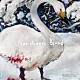 ＳＷＡＬＬＯＷ「Ｎｏｒｔｈｅｒｎ　Ｂｌｏｏｄ」