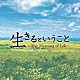 中井智彦「生きるということ　～Ｔｈｅ　Ｍｅａｎｉｎｇ　ｏｆ　Ｌｉｆｅ～」