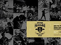 ＳＰＹＡＩＲ「 Ｊｕｓｔ　Ｌｉｋｅ　Ｔｈｉｓ　２０２４」