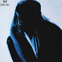ＬＵＮＡ　ＳＥＡ「 ＲＥＷ」