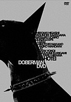 布袋寅泰「 ＤＯＢＥＲＭＡＮ　ＤＶＤ」