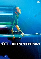 布袋寅泰「 ＴＨＥ　ＬＩＶＥ！　ＤＯＢＥＲＭＡＮ」