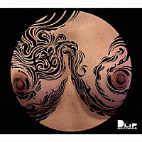 ＤＵＳＴＹ　ＨＵＳＫＹ「 山越　－ＹＡＭＡＧＯＳＨＩ－」